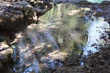 Tat Kuang Si Waterfall Pond